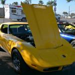 VetsandVettes_0007 (November 09, 2013)